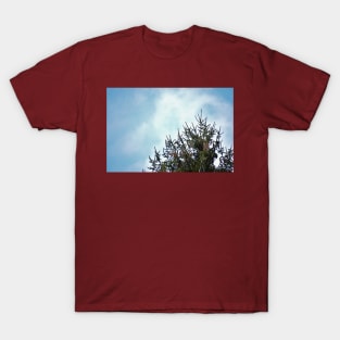 Pine Tree Top Border T-Shirt